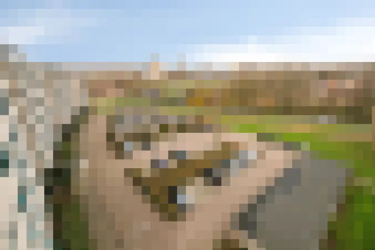 IJsselzoom 96 Capelle aan den IJssel thumbnail 37