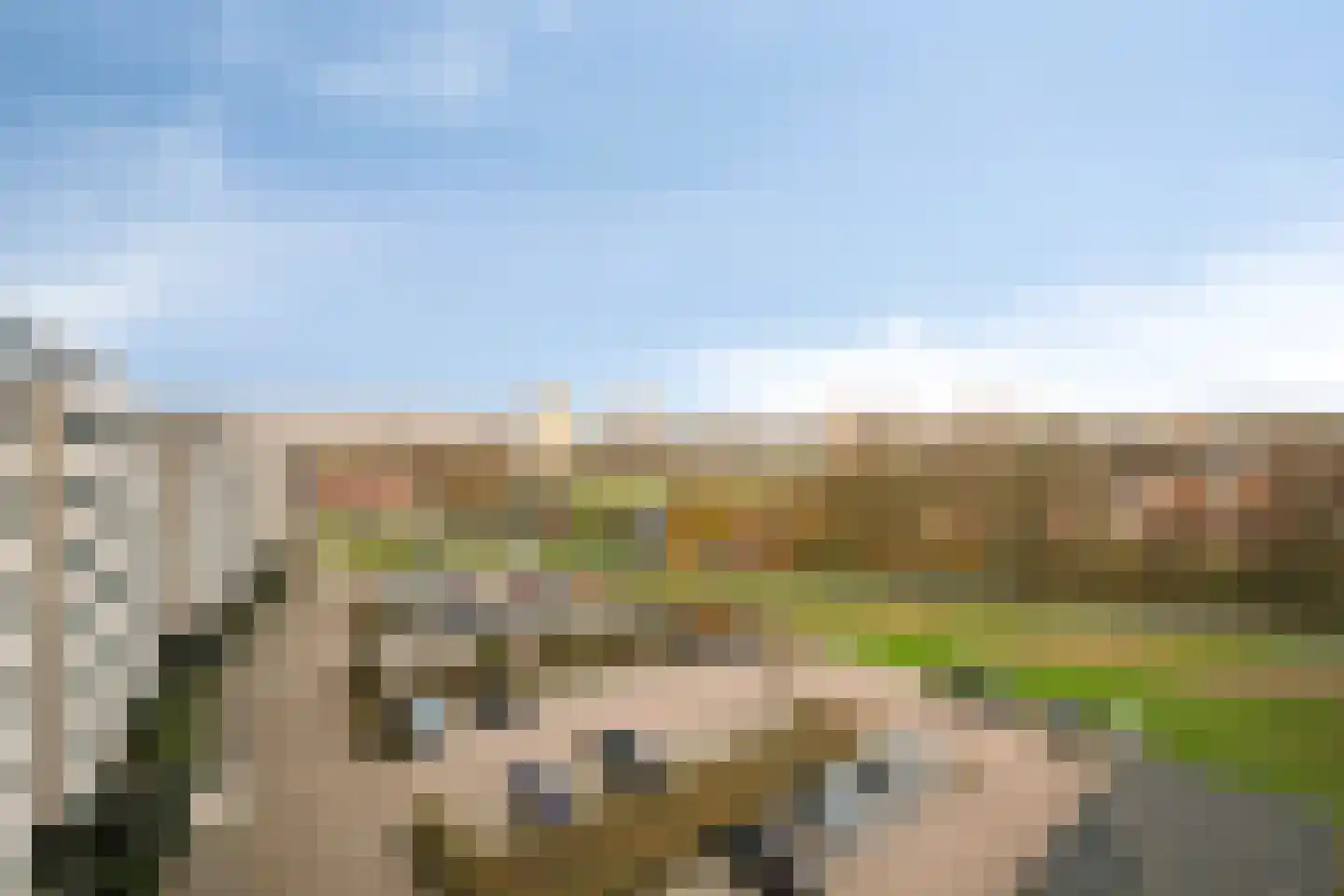 IJsselzoom 96 Capelle aan den IJssel thumbnail 38