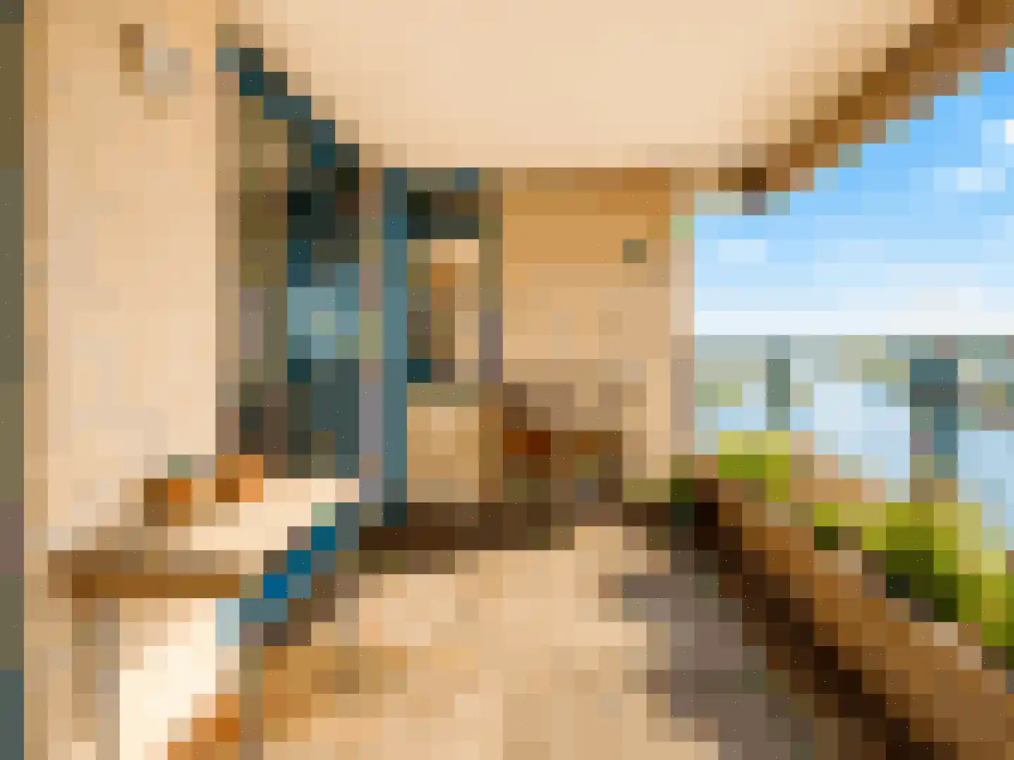 IJsselzoom 96 Capelle aan den IJssel thumbnail 4