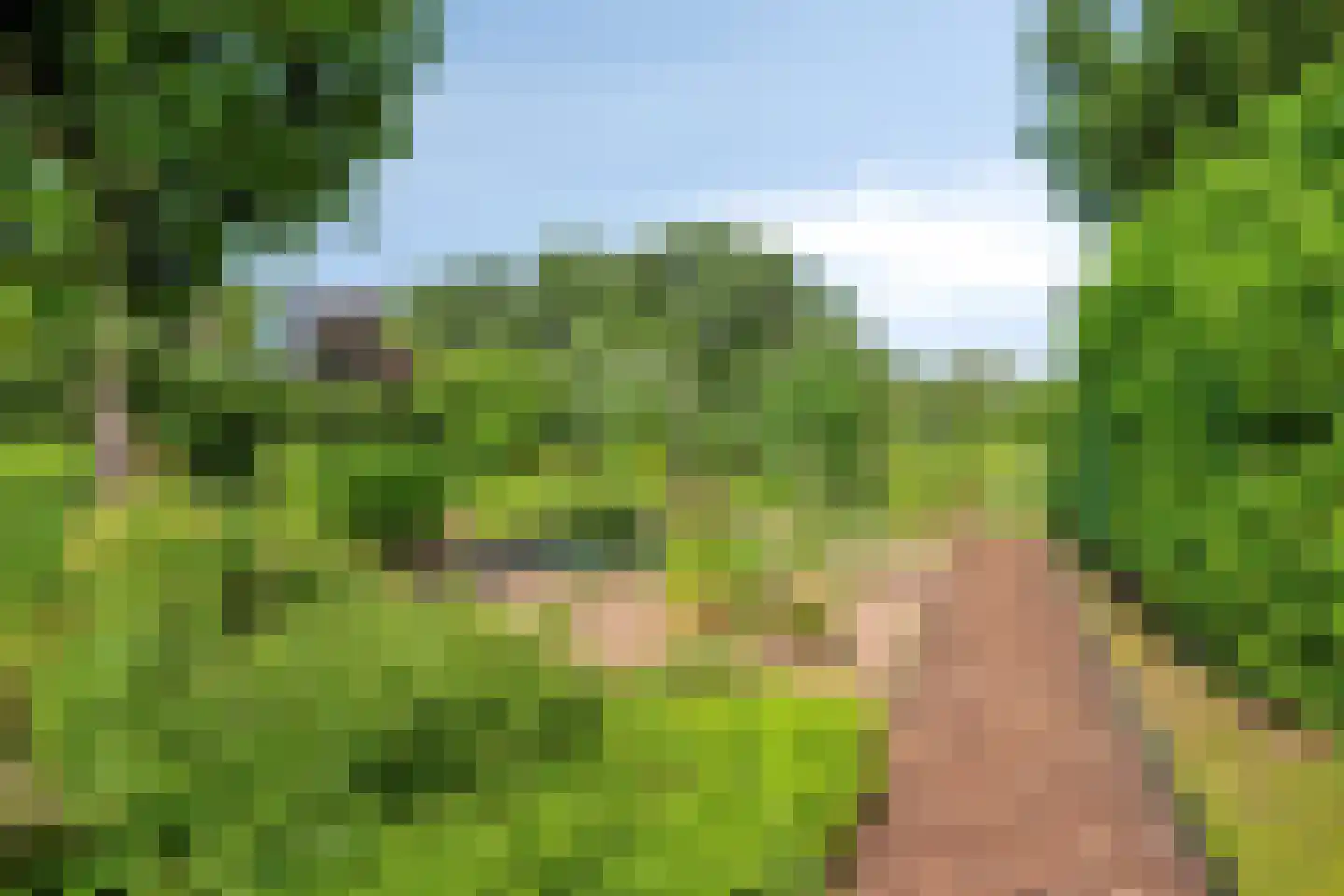 IJsstraat 4 Susteren thumbnail 20