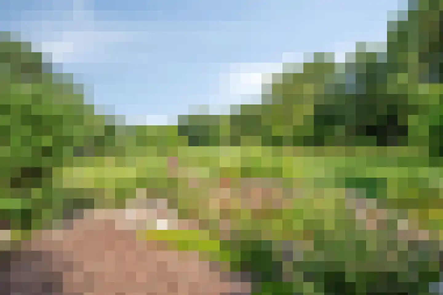 IJsstraat 4 Susteren thumbnail 21