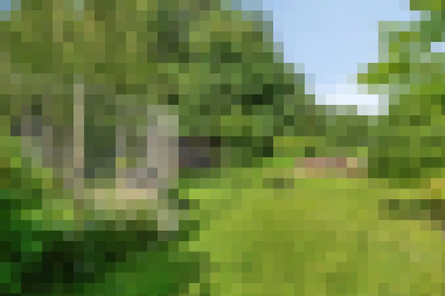 IJsstraat 4 Susteren thumbnail 25