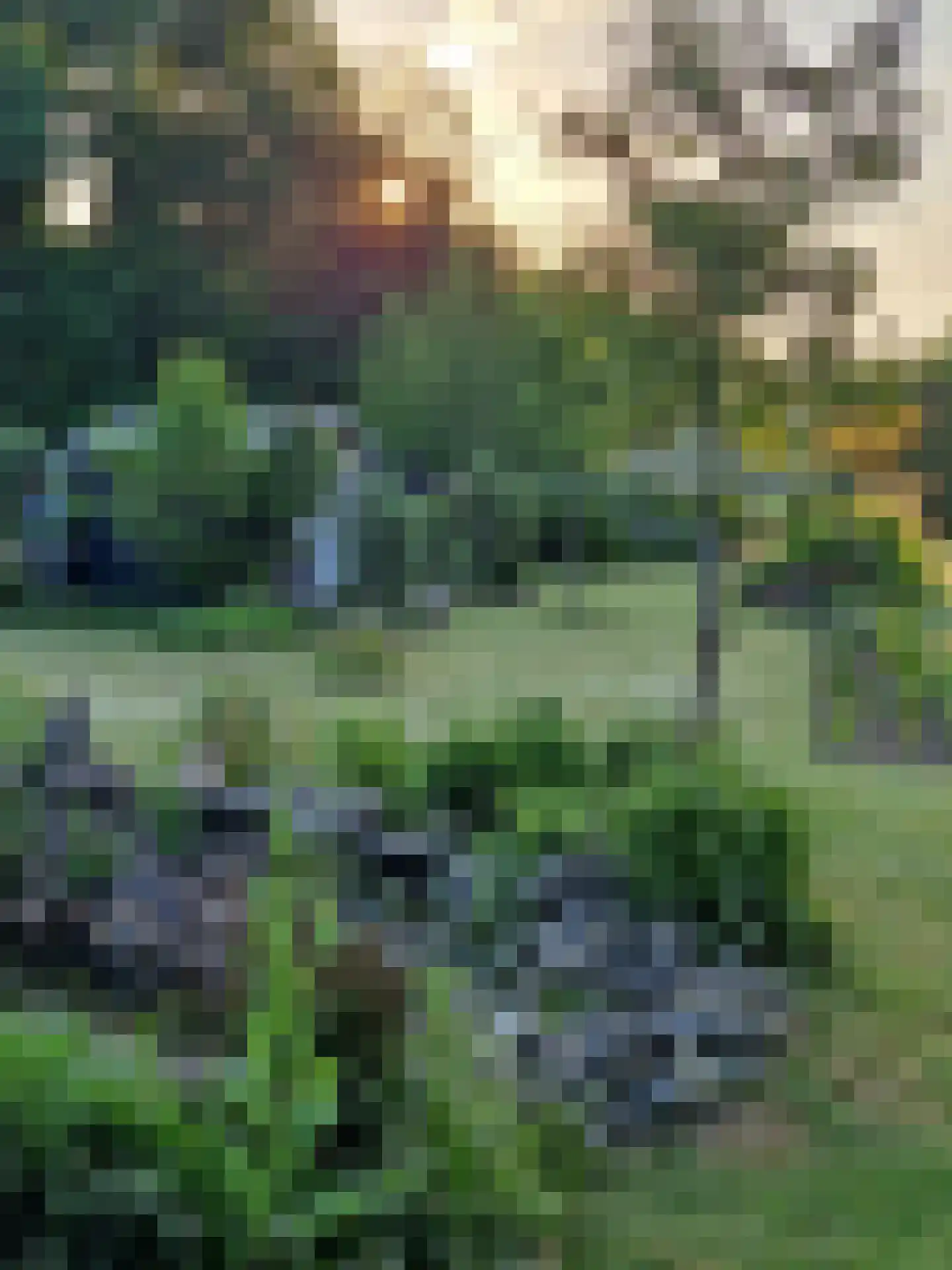 IJsstraat 4 Susteren thumbnail 27