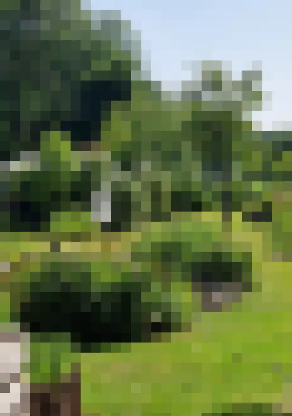 IJsstraat 4 Susteren thumbnail 28