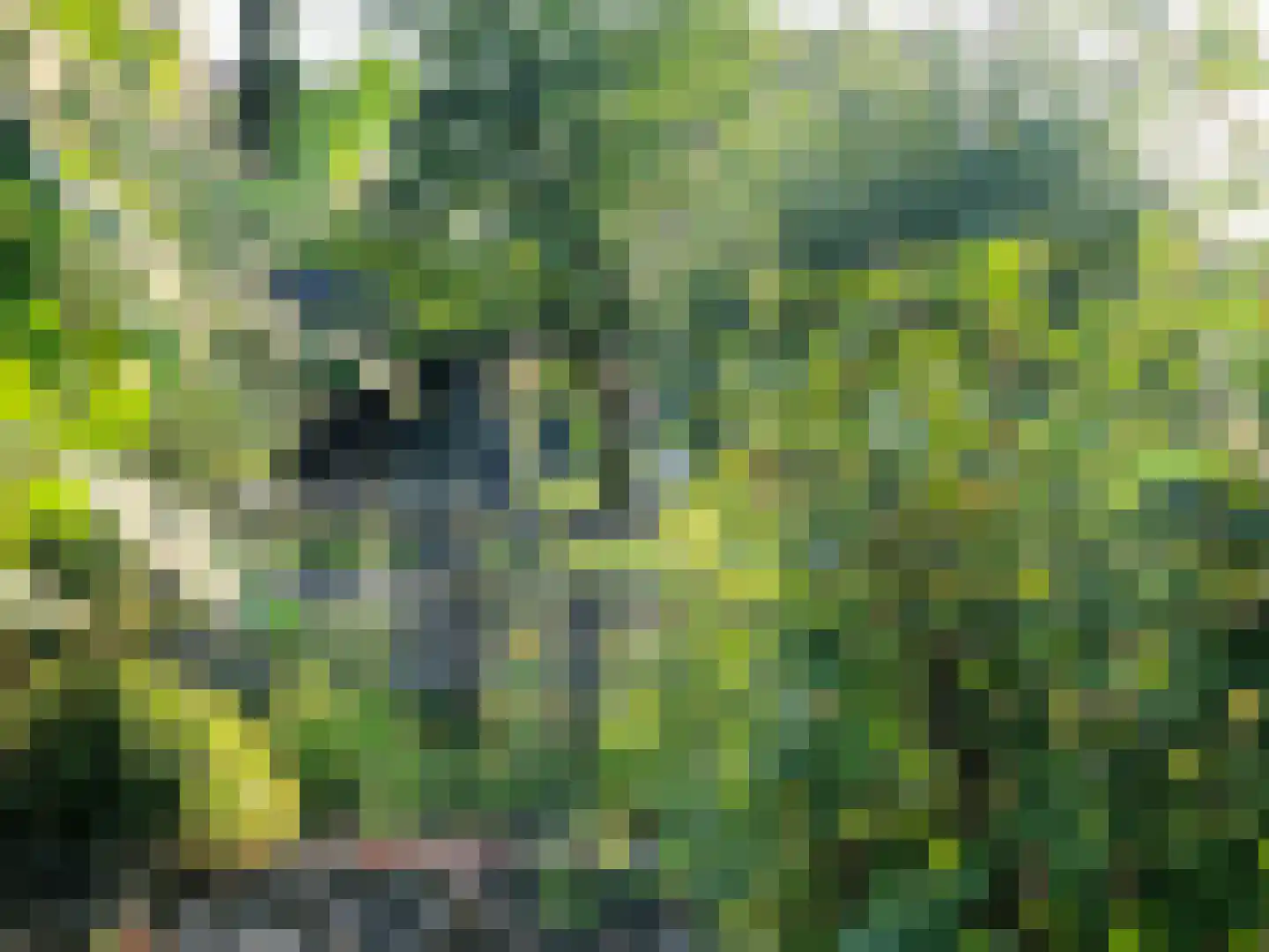 IJsstraat 4 Susteren thumbnail 29