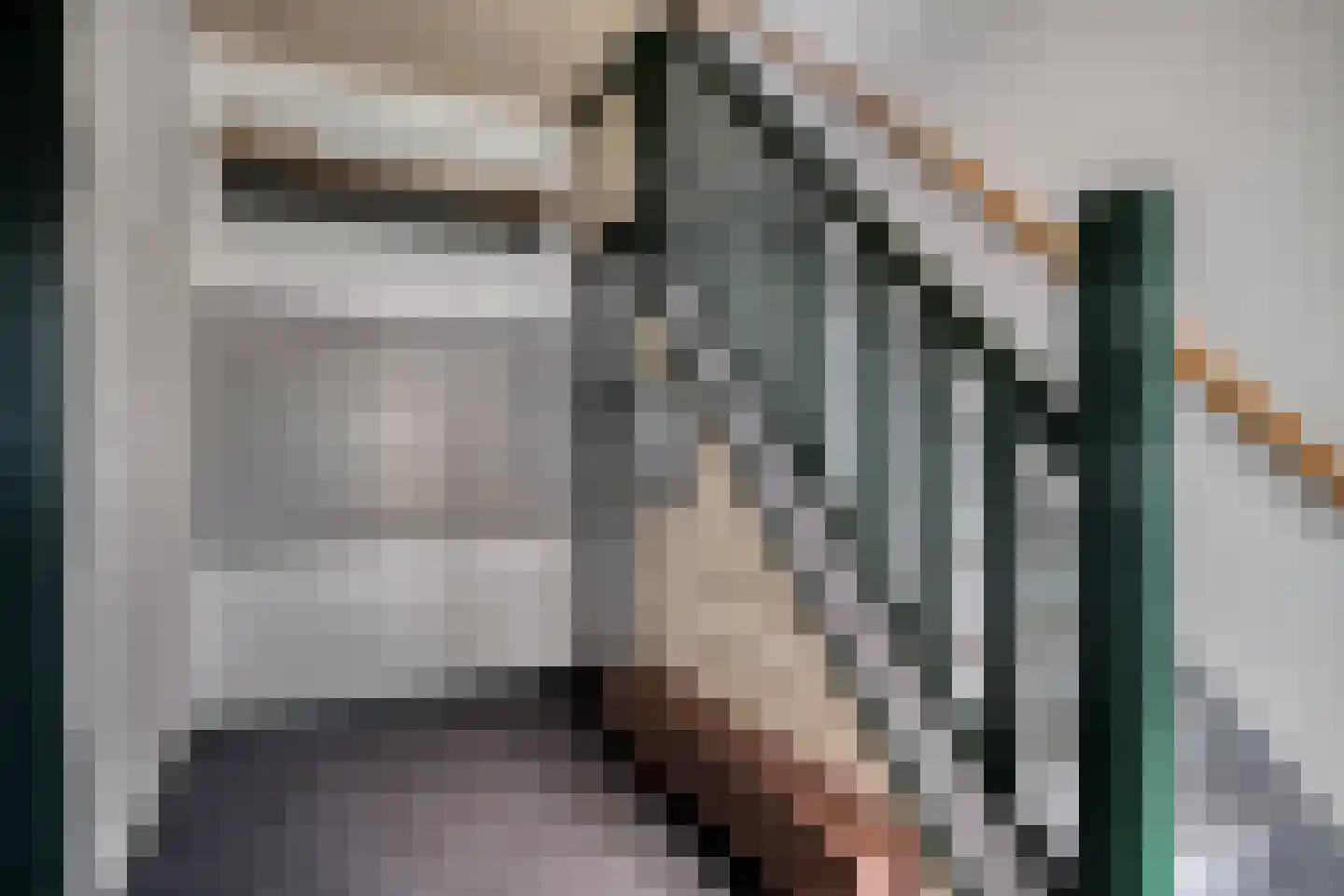 IJsstraat 4 Susteren thumbnail 6