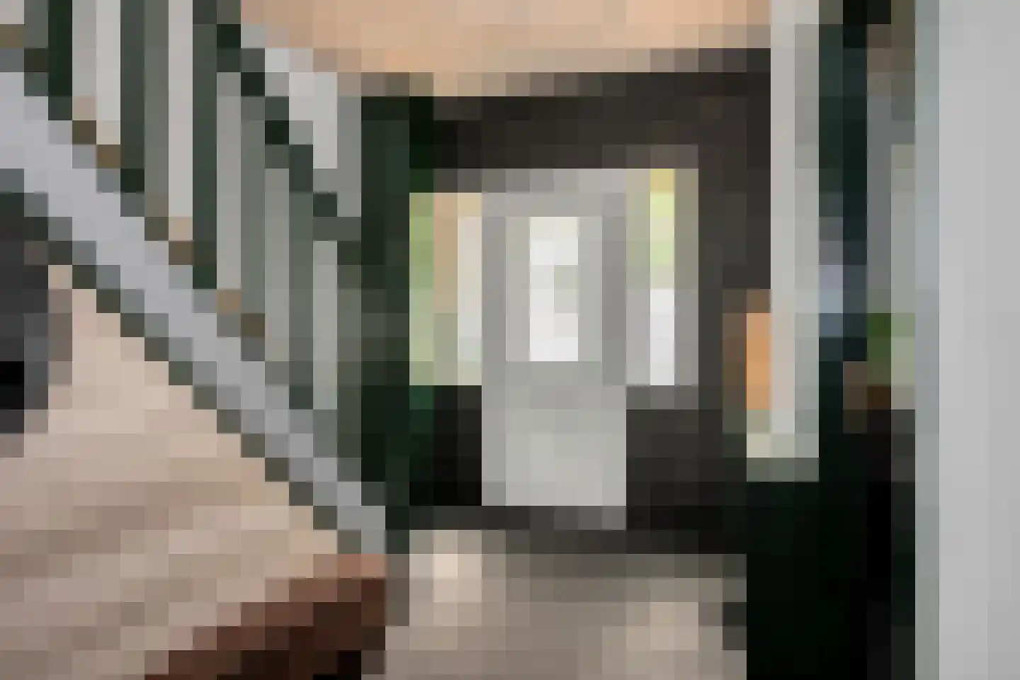 IJsstraat 4 Susteren thumbnail 7