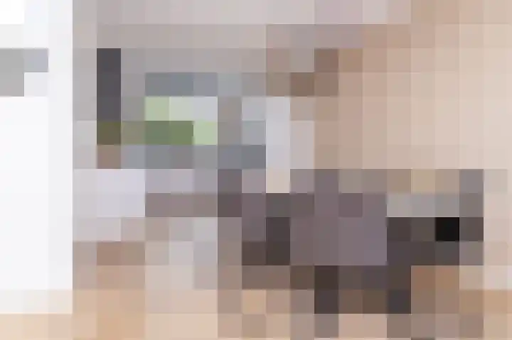IJsvogel 1 Hoogkarspel thumbnail 10
