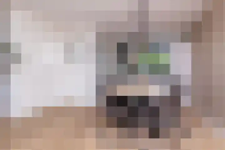 IJsvogel 1 Hoogkarspel thumbnail 11
