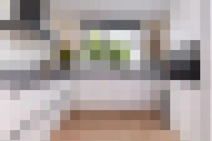 IJsvogel 1 Hoogkarspel thumbnail 12