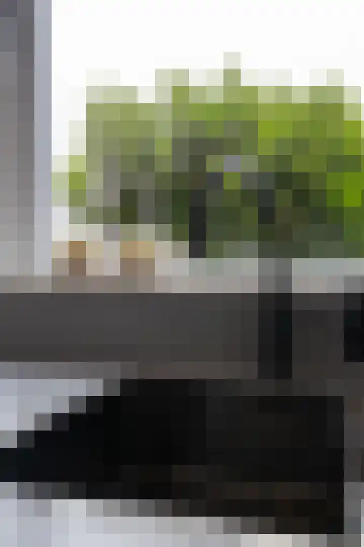 IJsvogel 1 Hoogkarspel thumbnail 14