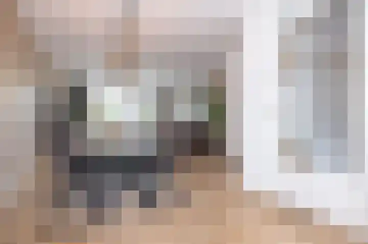 IJsvogel 1 Hoogkarspel thumbnail 17