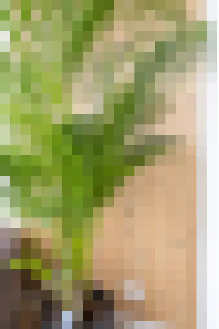 IJsvogel 1 Hoogkarspel thumbnail 18