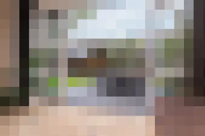 IJsvogel 1 Hoogkarspel thumbnail 19