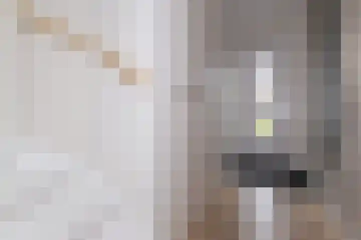 IJsvogel 1 Hoogkarspel thumbnail 21