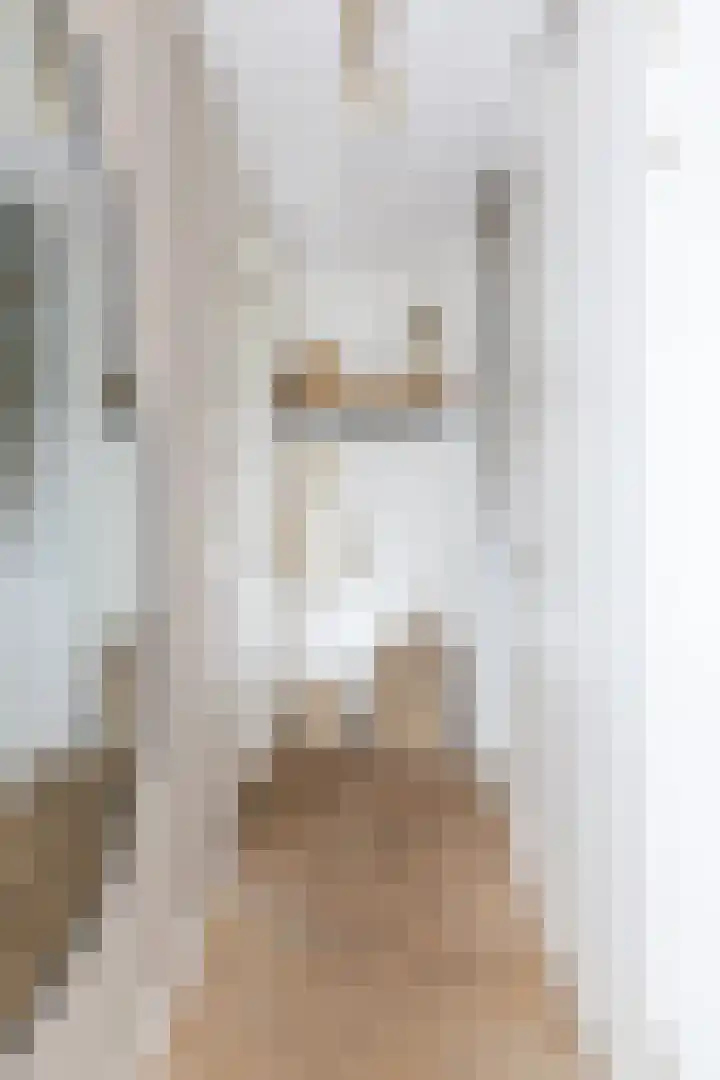 IJsvogel 1 Hoogkarspel thumbnail 22