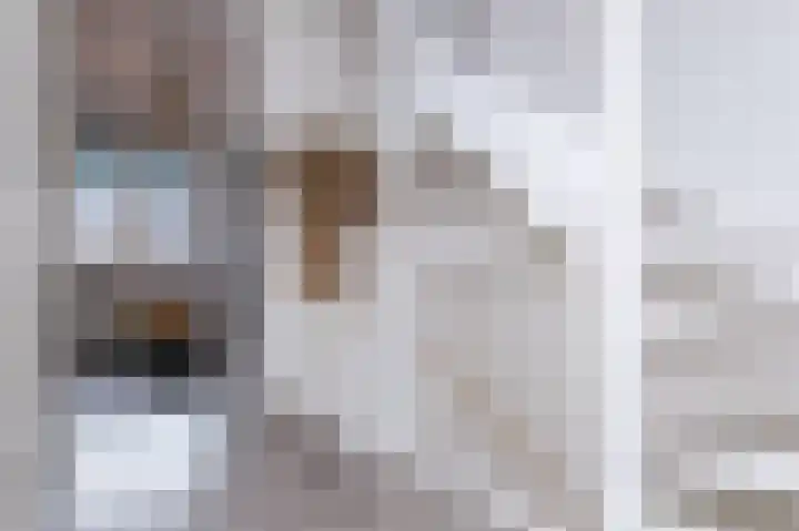 IJsvogel 1 Hoogkarspel thumbnail 23