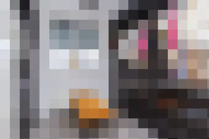IJsvogel 1 Hoogkarspel thumbnail 24
