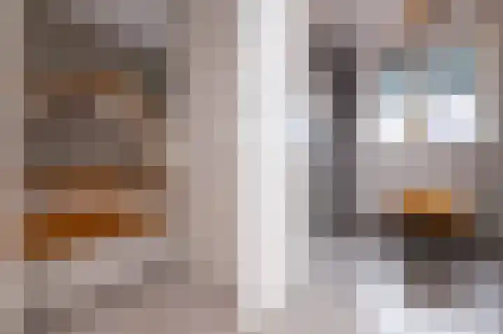 IJsvogel 1 Hoogkarspel thumbnail 26