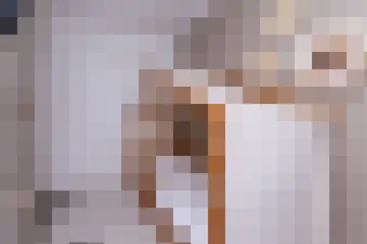 IJsvogel 1 Hoogkarspel thumbnail 28