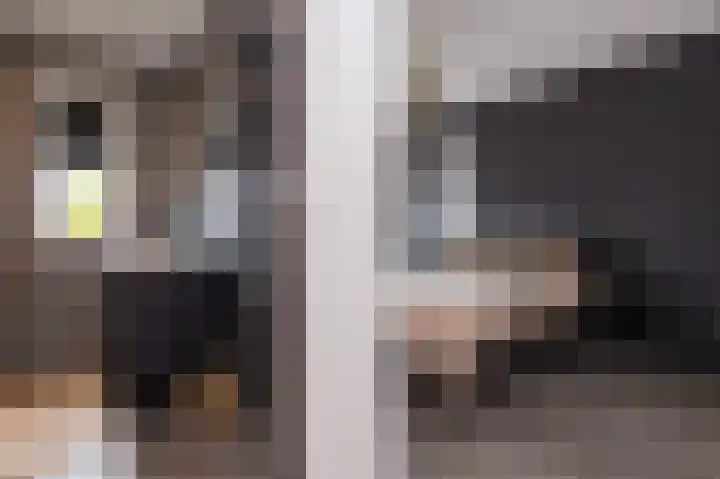 IJsvogel 1 Hoogkarspel thumbnail 29