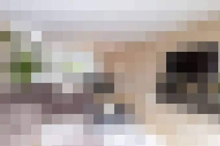 IJsvogel 1 Hoogkarspel foto 3