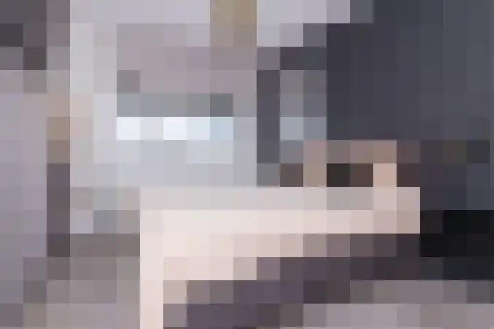 IJsvogel 1 Hoogkarspel thumbnail 31