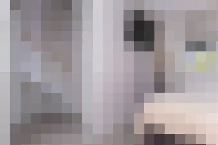 IJsvogel 1 Hoogkarspel thumbnail 32