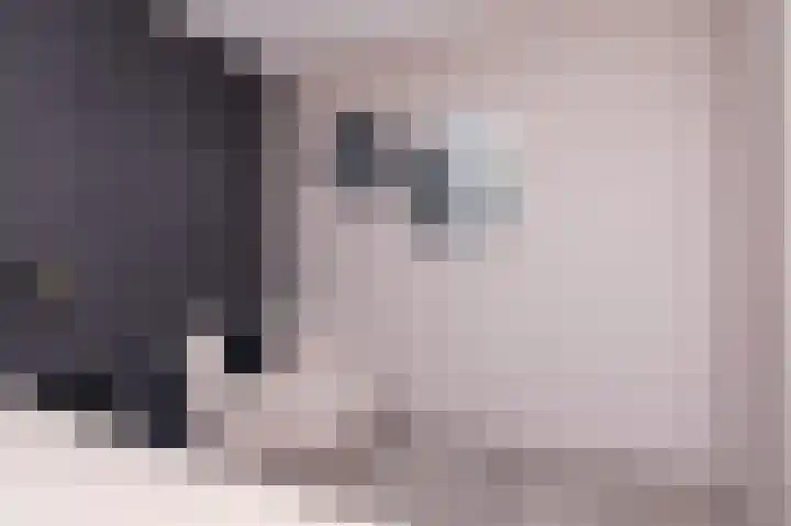 IJsvogel 1 Hoogkarspel thumbnail 33