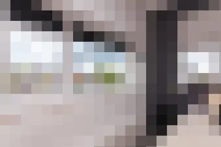 IJsvogel 1 Hoogkarspel thumbnail 34