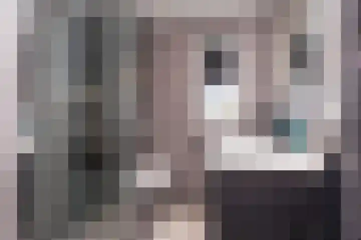 IJsvogel 1 Hoogkarspel thumbnail 35