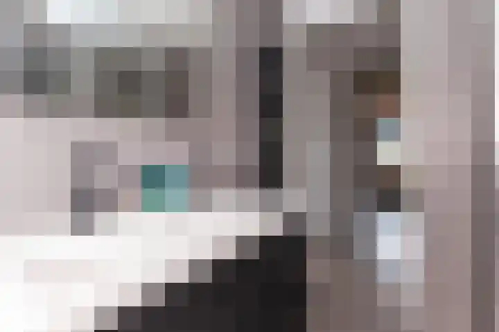 IJsvogel 1 Hoogkarspel thumbnail 36