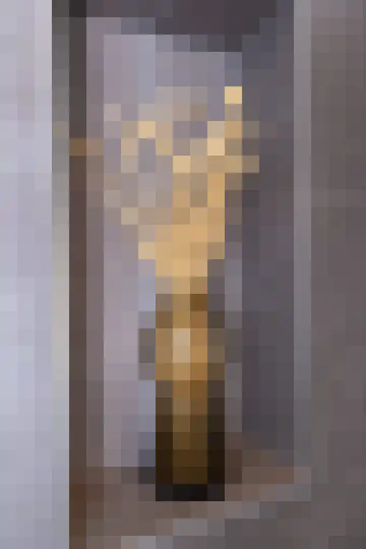 IJsvogel 1 Hoogkarspel thumbnail 37