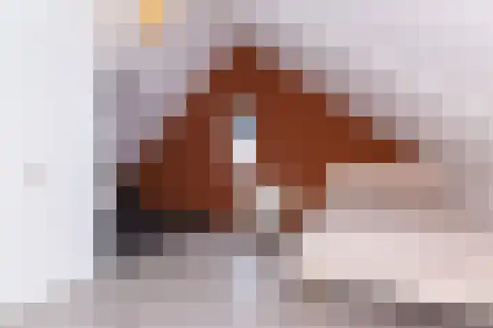 IJsvogel 1 Hoogkarspel thumbnail 39