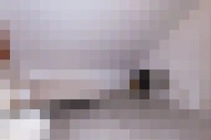 IJsvogel 1 Hoogkarspel thumbnail 40