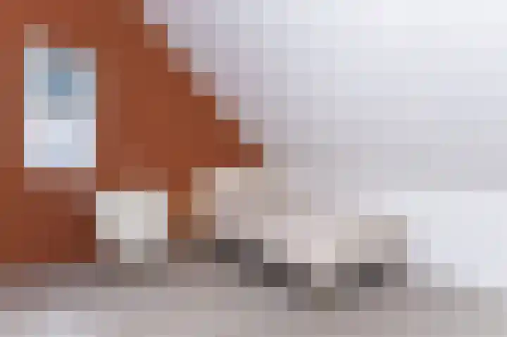 IJsvogel 1 Hoogkarspel thumbnail 41
