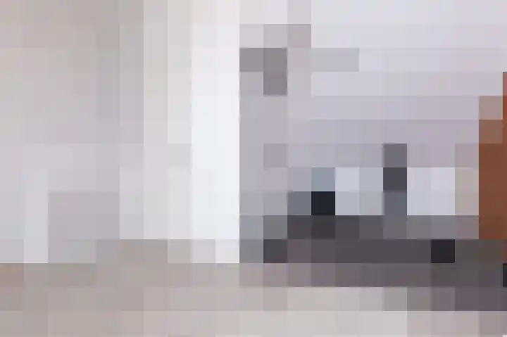 IJsvogel 1 Hoogkarspel thumbnail 42