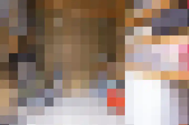 IJsvogel 1 Hoogkarspel thumbnail 44