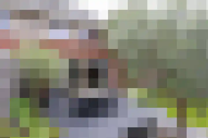 IJsvogel 1 Hoogkarspel thumbnail 45