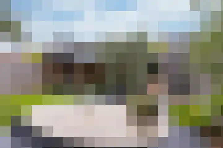 IJsvogel 1 Hoogkarspel thumbnail 46