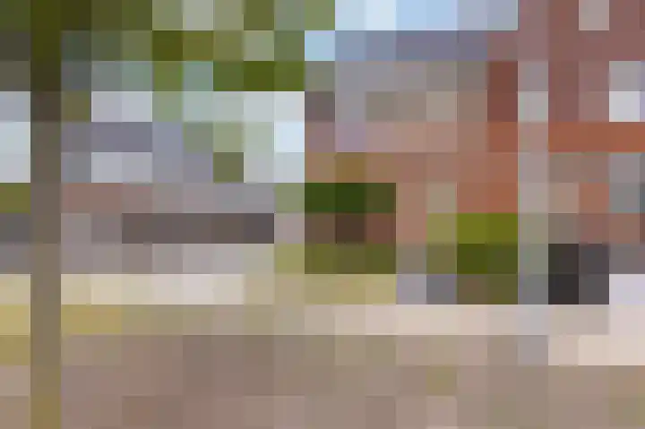 IJsvogel 1 Hoogkarspel thumbnail 5