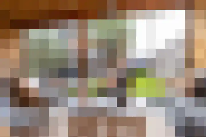 IJsvogel 1 Hoogkarspel thumbnail 51