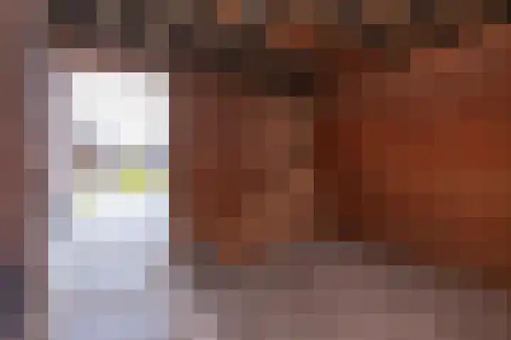 IJsvogel 1 Hoogkarspel thumbnail 55