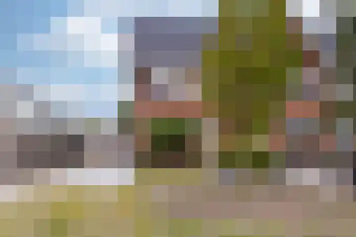 IJsvogel 1 Hoogkarspel thumbnail 58