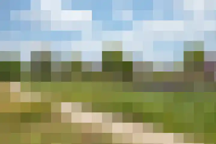 IJsvogel 1 Hoogkarspel thumbnail 59
