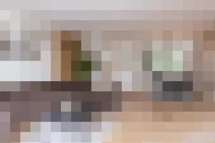 IJsvogel 1 Hoogkarspel thumbnail 6