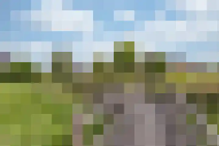 IJsvogel 1 Hoogkarspel thumbnail 60