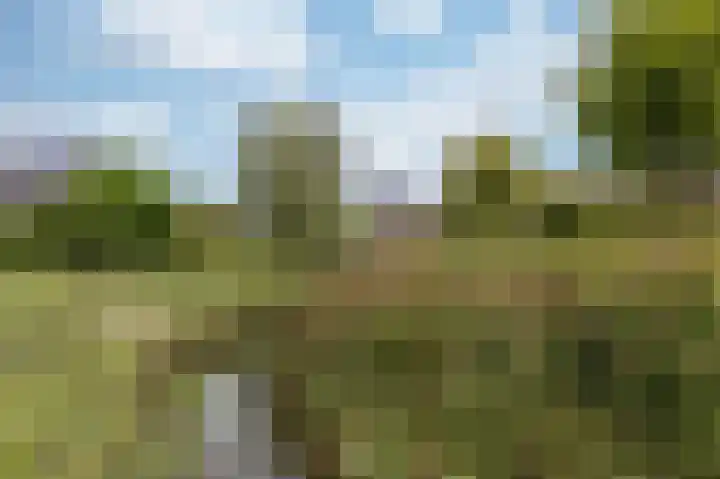IJsvogel 1 Hoogkarspel thumbnail 61