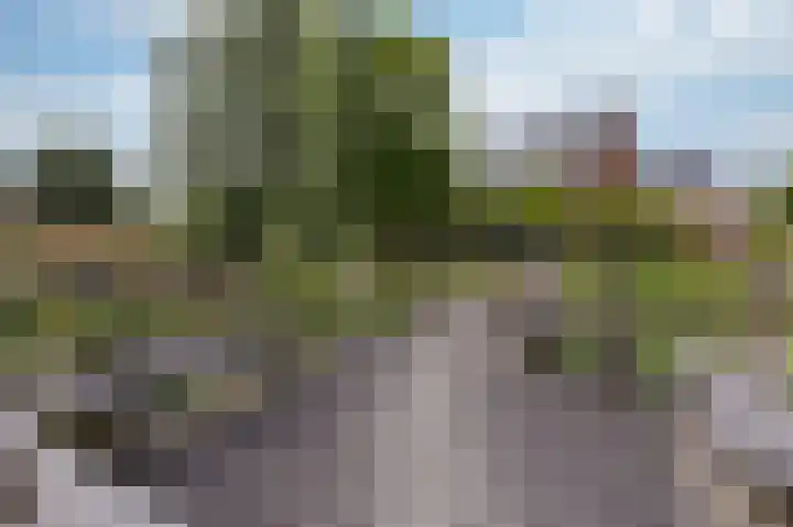 IJsvogel 1 Hoogkarspel thumbnail 62