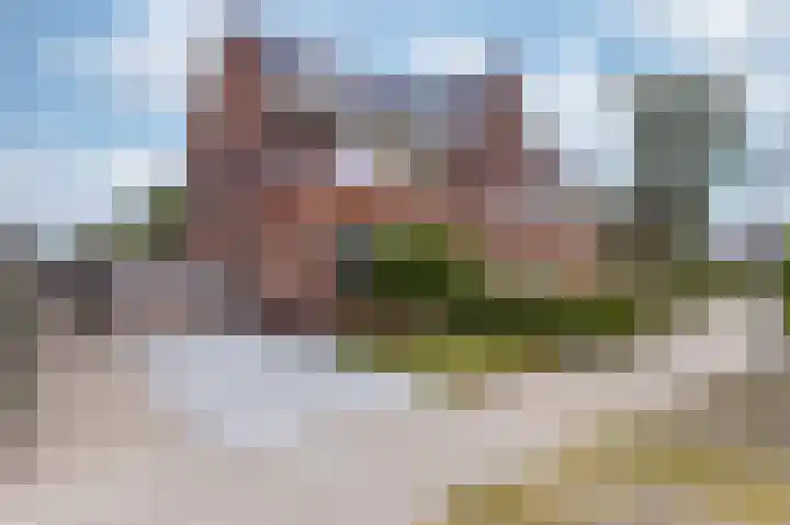IJsvogel 1 Hoogkarspel thumbnail 67